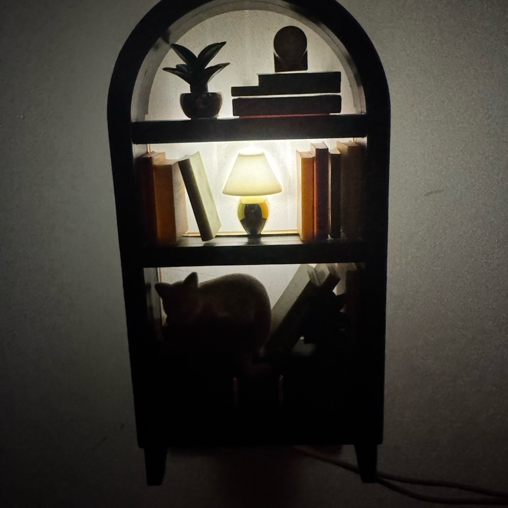 Arched Bookshelf Night Light Wallflower